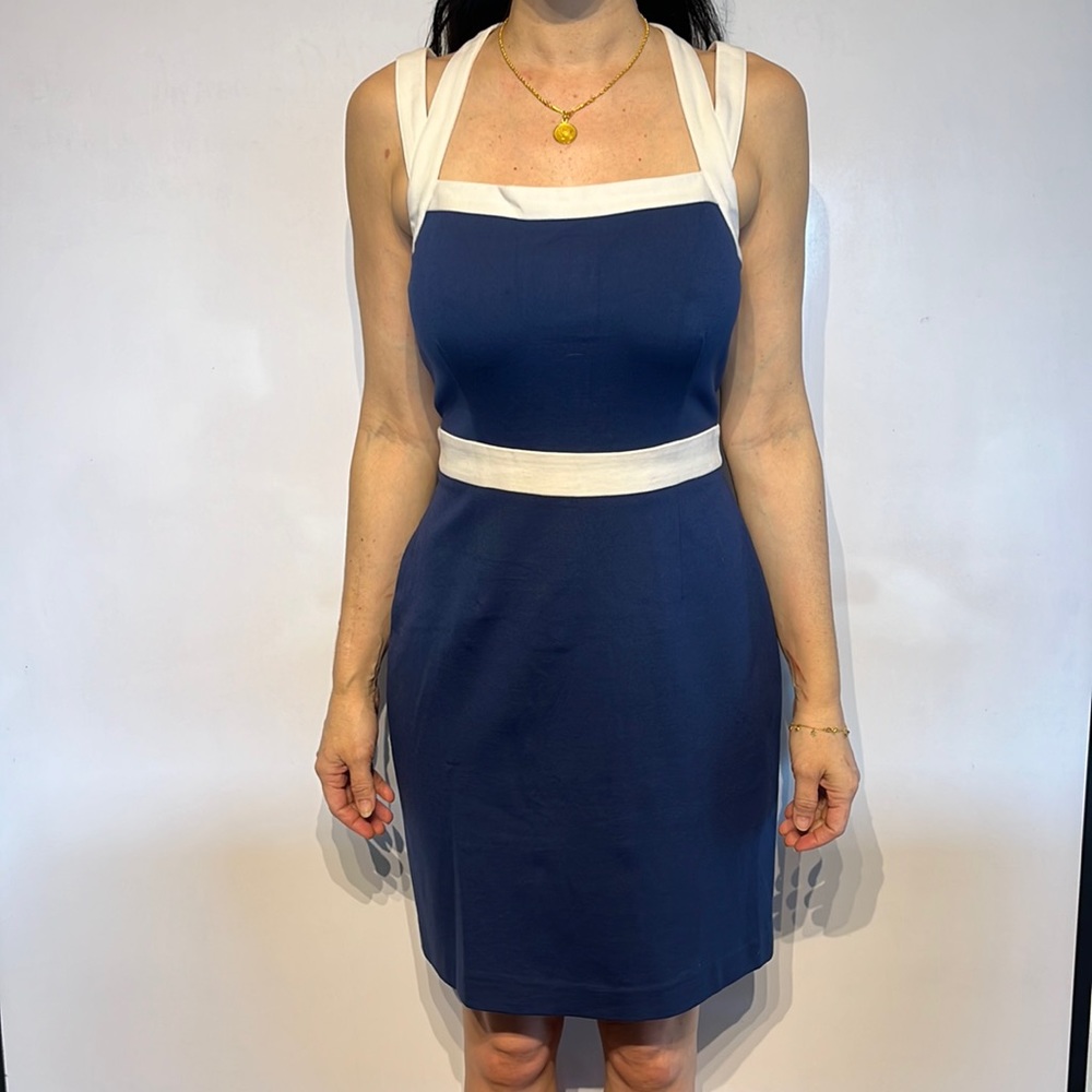 Banana Republic Blue and White Strappy Dress